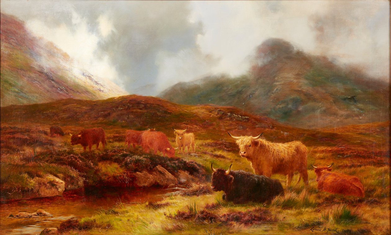 Moorland at Clachaig, Glencoe (olej na plátně) od Louis Bosworth Hurt