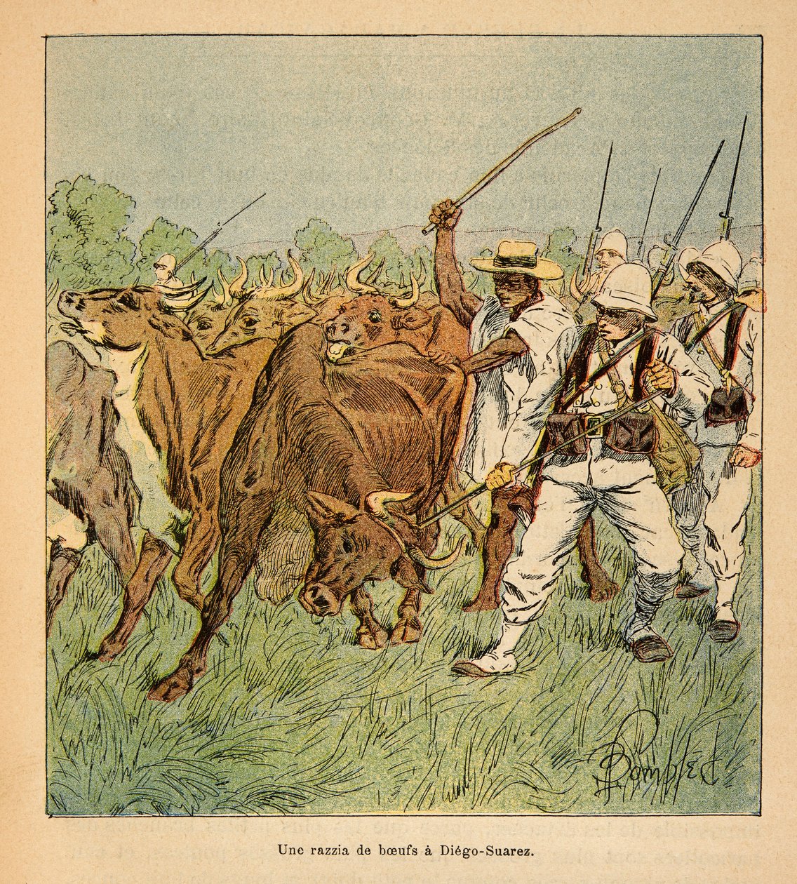 Válka na Madagaskaru – neoficiální historie francouzských expedic v letech 1885-1895 od Henri Galli dit Galllichet (1854-1922), ilustrované Louisem Bombledem (1862-1927): V Diego-Suarez požaduje francouzská armáda voly, soukromá sbírka od Louis Charles Bombled