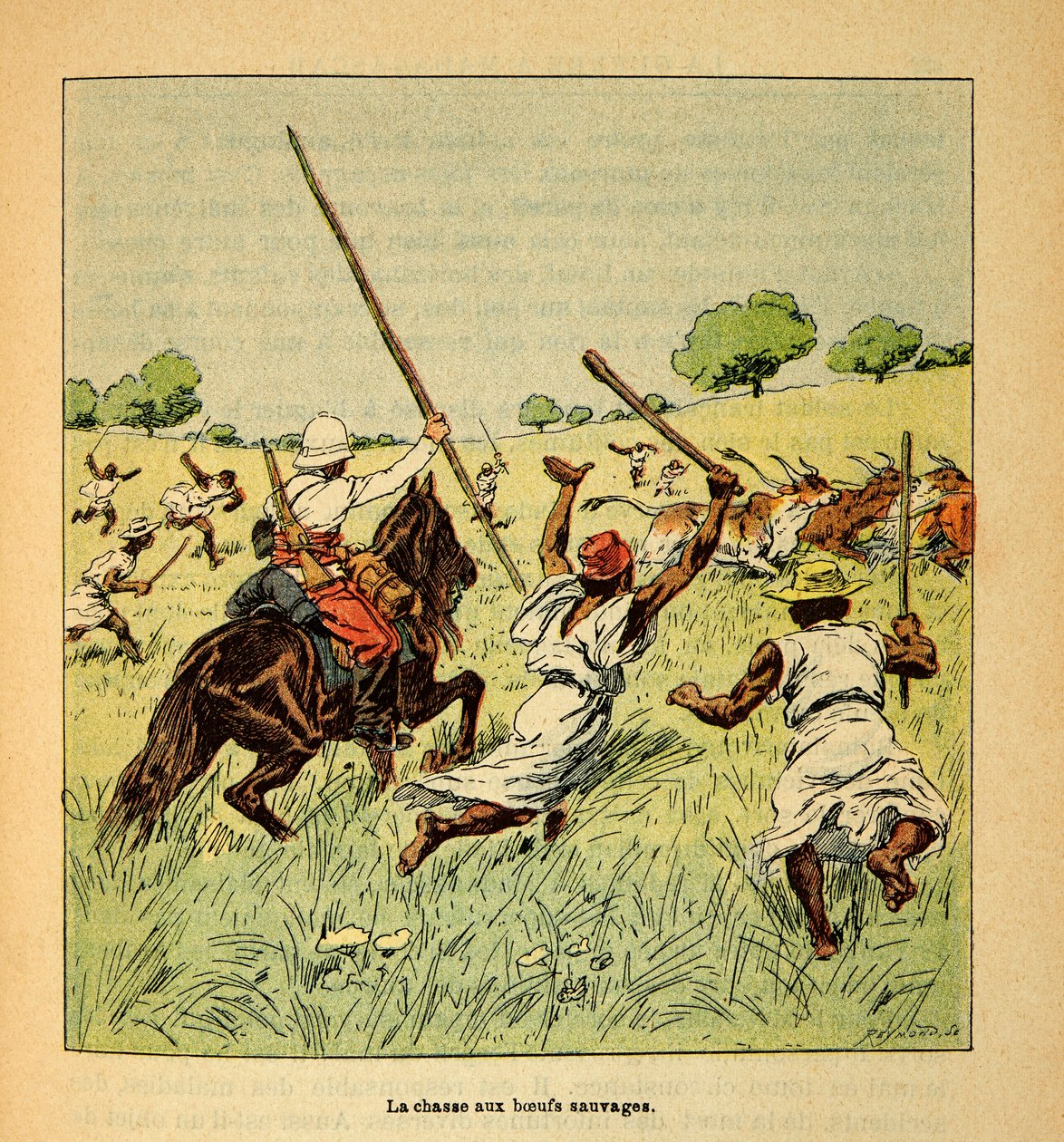 Válka na Madagaskaru - neoficiální historie francouzských expedic 1885-1895 od Henri Galli dit Galllichet (1854-1922), ilustrované Louisem Bombledem (1862-1927): Lov divokých volů na Madagaskaru v roce 1895, Soukromá sbírka od Louis Charles Bombled