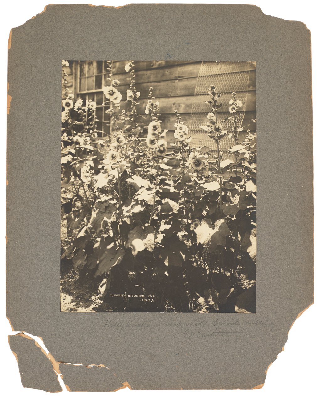Tiffany Studios, c.1898-1920 (fotografie b/w) od Louis Comfort Tiffany