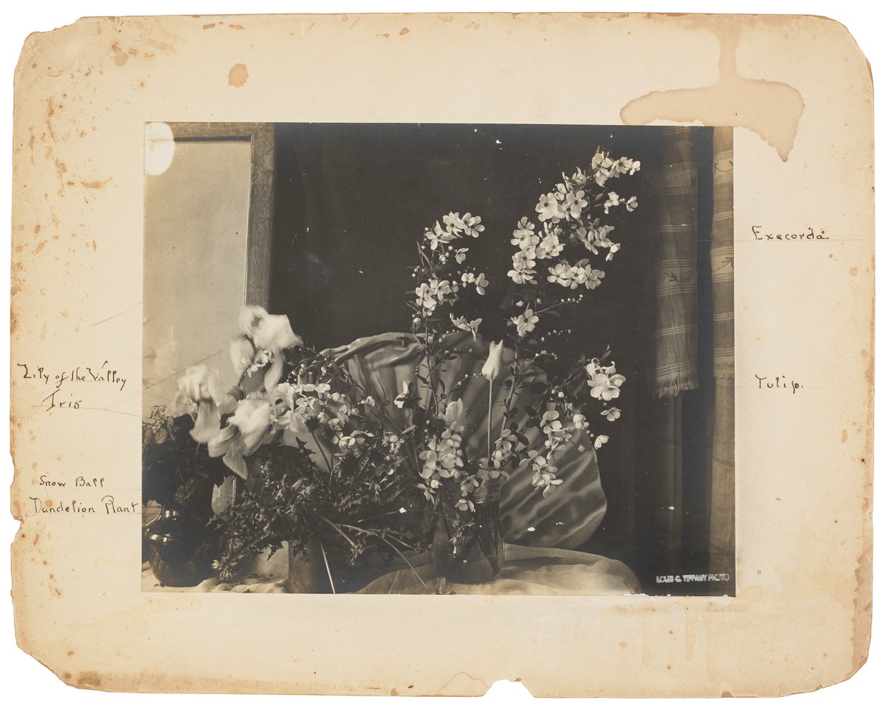 Tiffany Studios, cca 1898-1920 (fotografie č/b) od Louis Comfort Tiffany