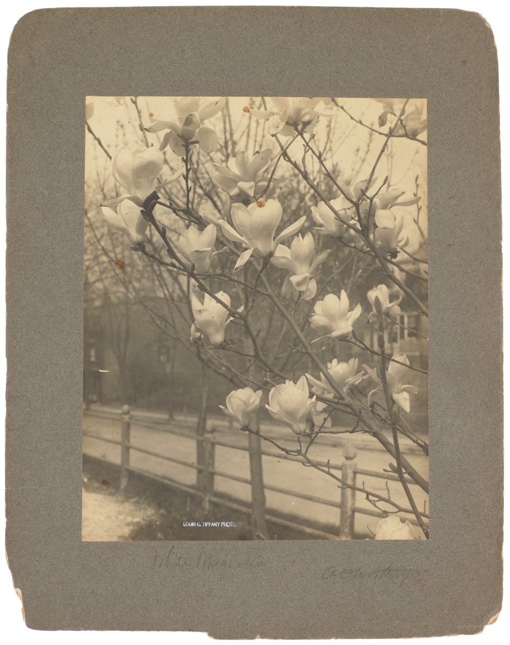 Tiffany Studios, cca 1898-1920 (fotografie č/b) od Louis Comfort Tiffany