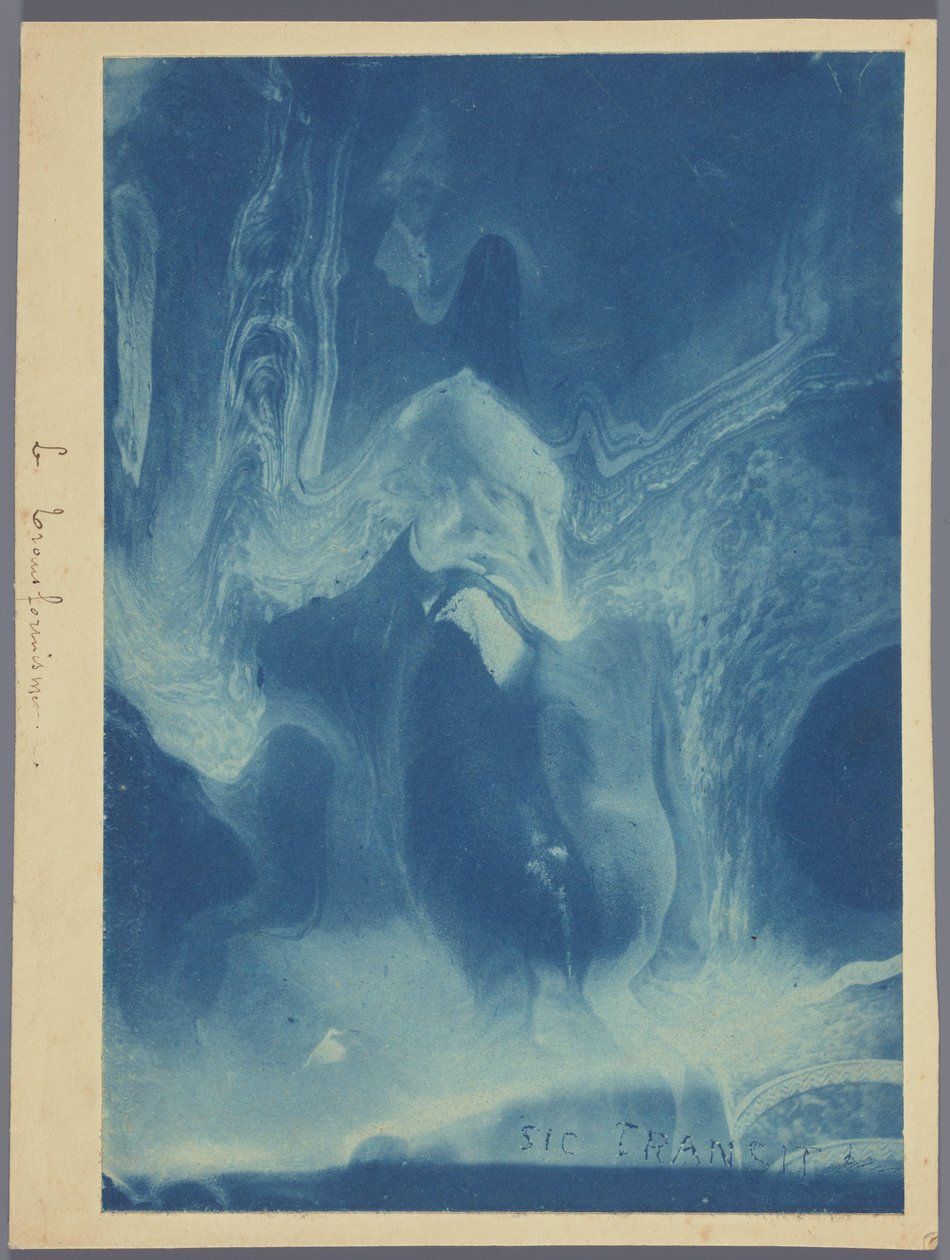 Le transformisme / Sic tranzit (název na objektu) od Louis Ducos du Hauron (attributed to)