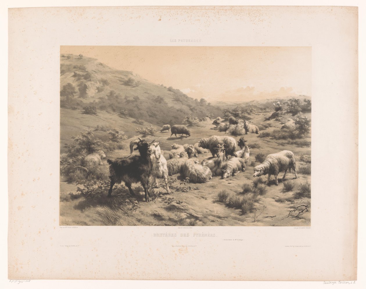Pastýřka s kozami a ovcemi v Pyrenejích Bruyeres des Pyrenees (název na objektu) Pastviny (název seriálu) Les paturages (název série na objektu) od Louis Emmanuel Soulange Teissier