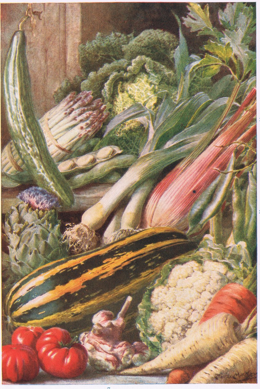 Garden Vegetables, ilustrace z 