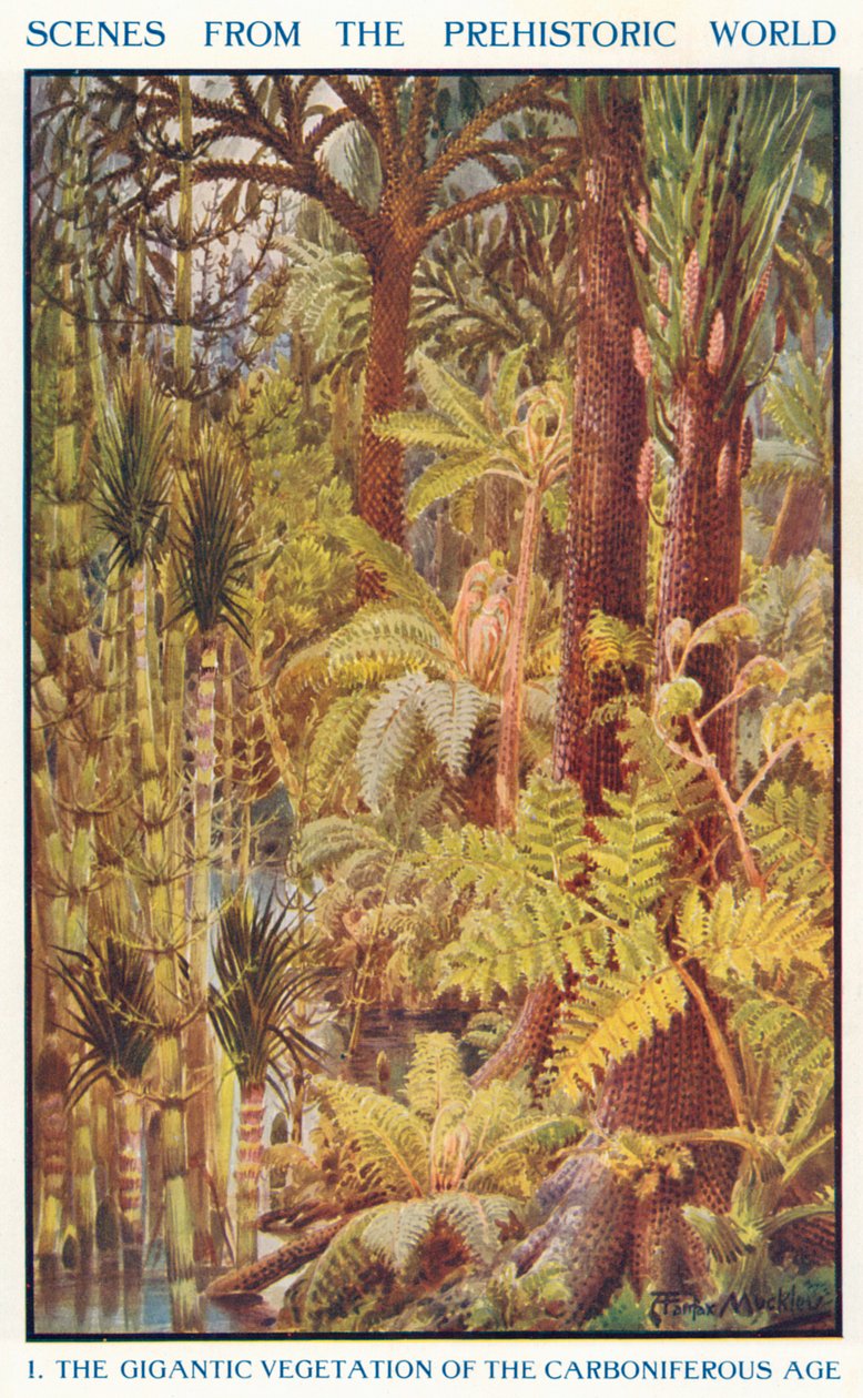 Gigantická vegetace karbonu (barevná litografie) od Louis Fairfax Muckley