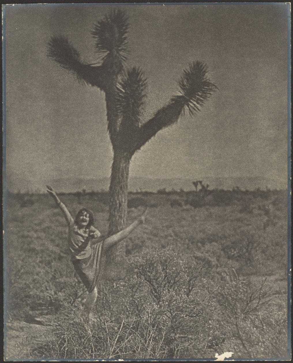 [Tanečnice v Joshua Tree] od Louis Fleckenstein