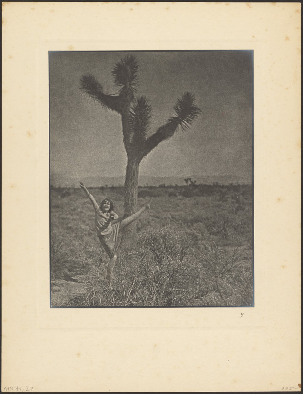 [Tanečnice v Joshua Tree] od Louis Fleckenstein