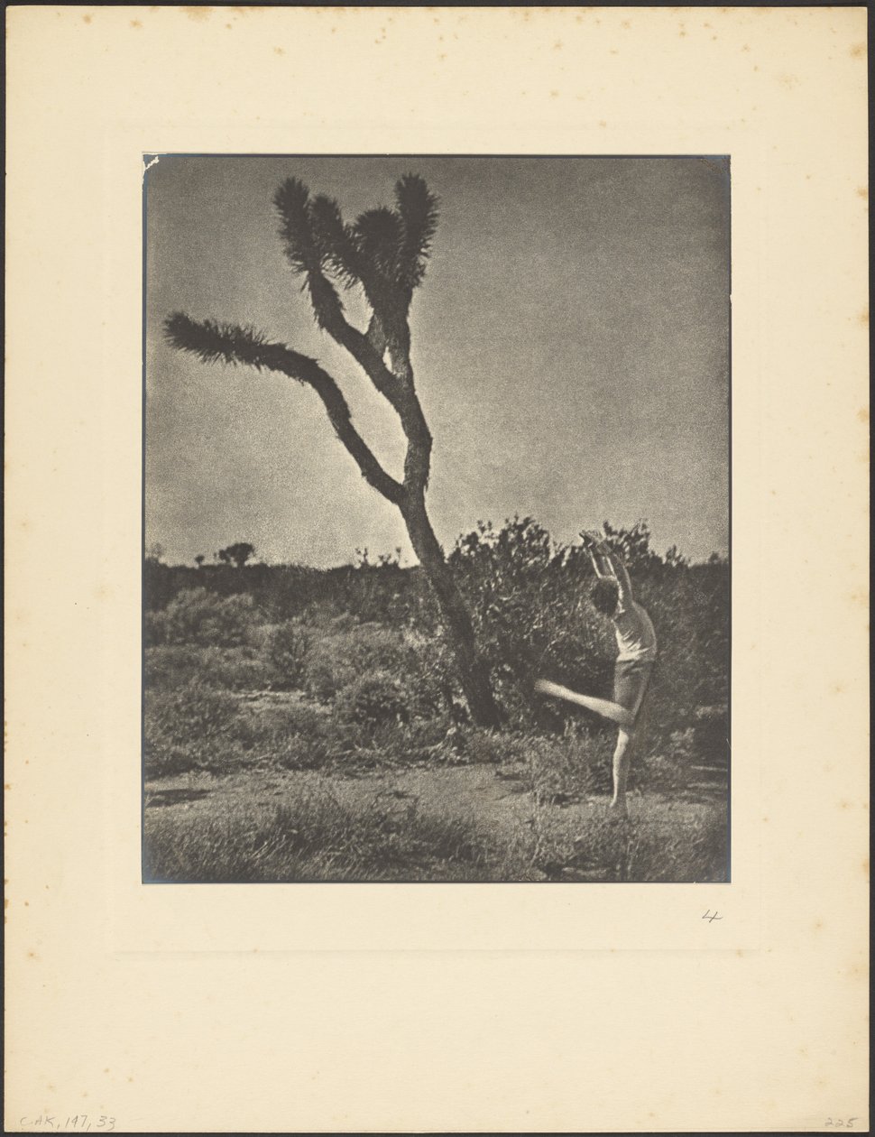 [Tanečnice v Joshua Tree] od Louis Fleckenstein