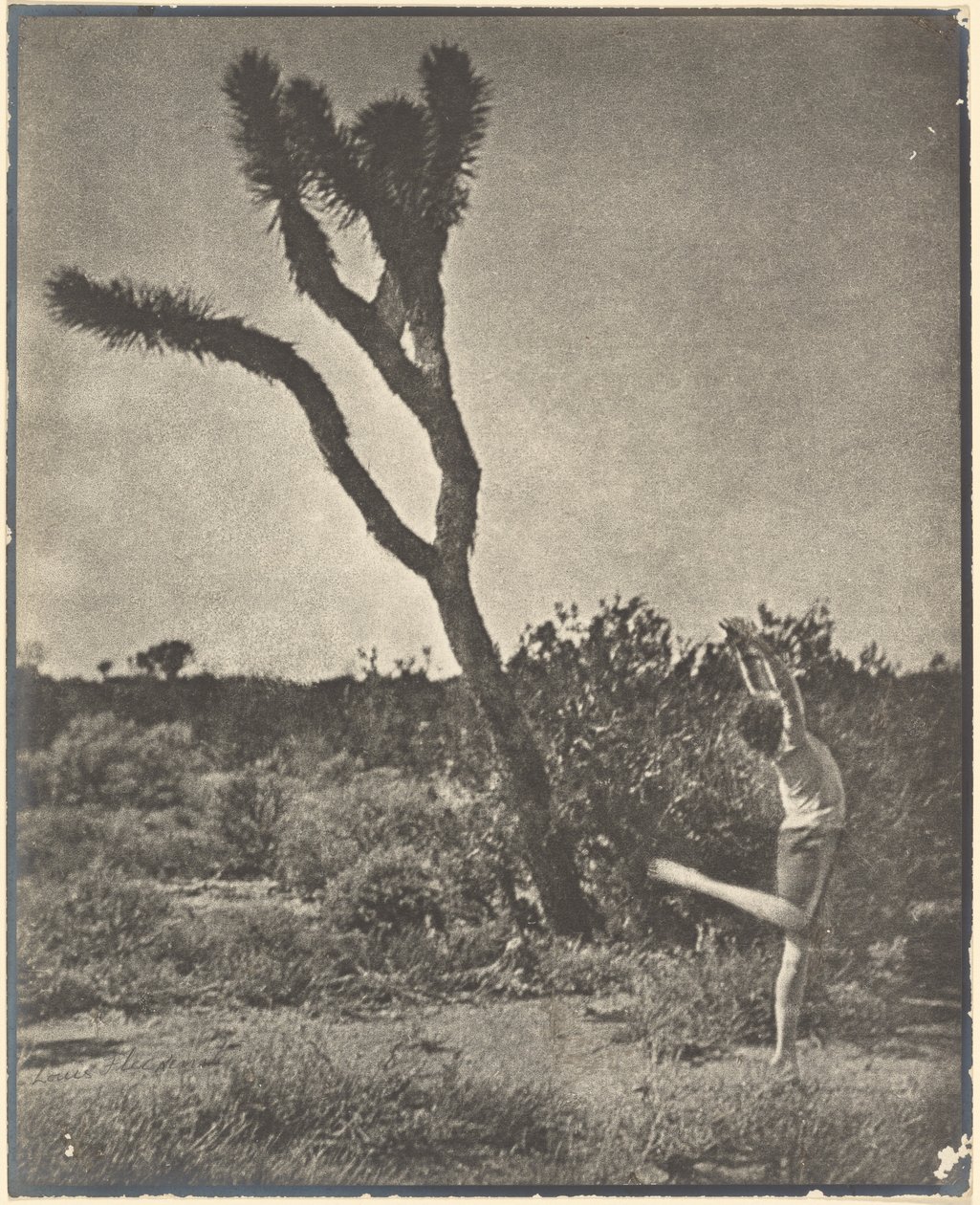 [Tanečník u Joshua Tree] od Louis Fleckenstein