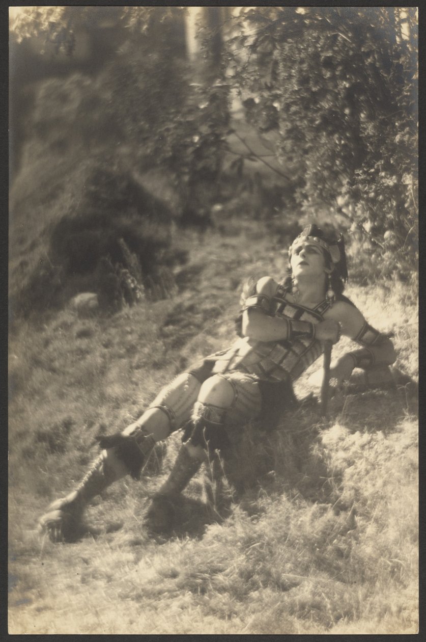 Fallen Gladiator od Louis Fleckenstein