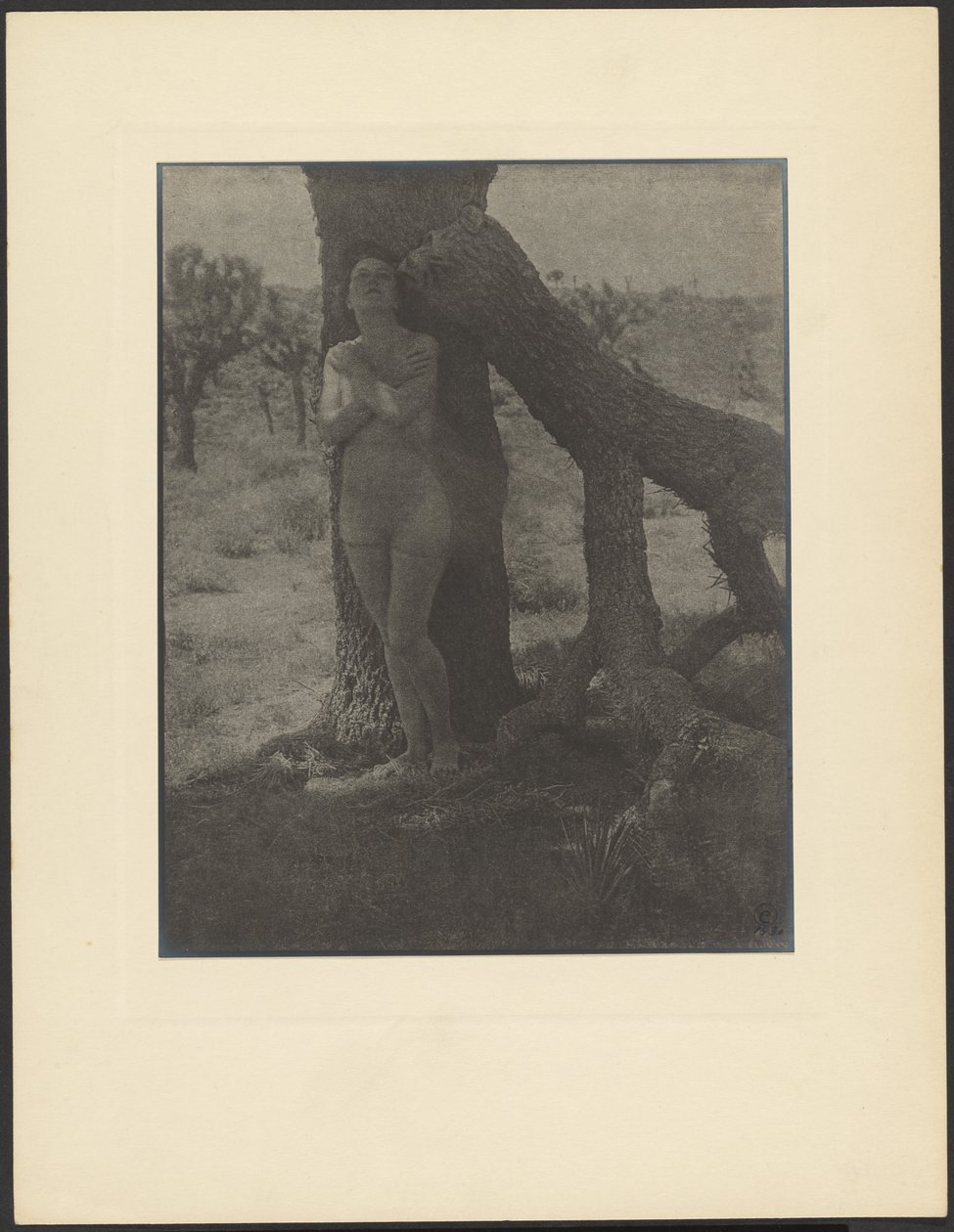 Duch Jozue od Louis Fleckenstein