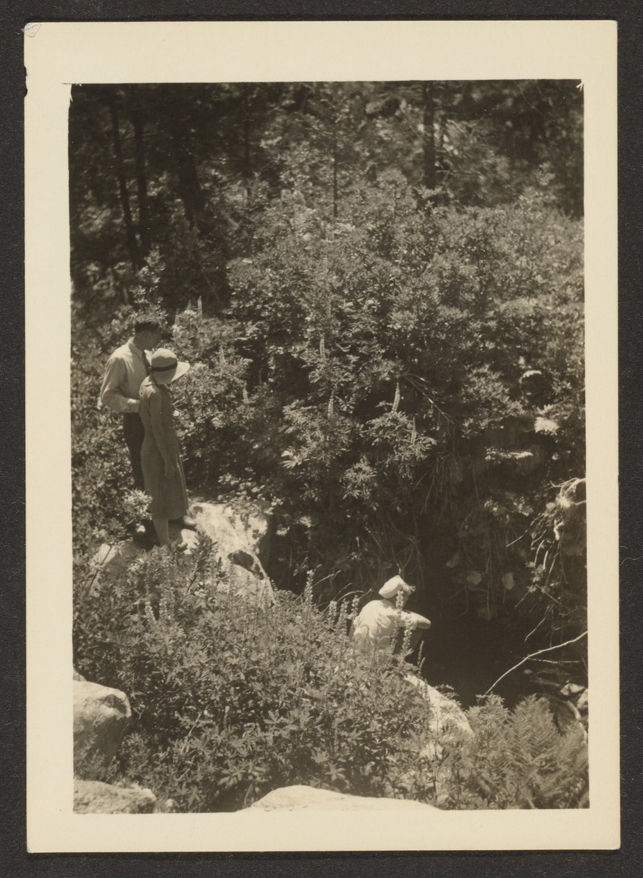 [Jaro ve Fern Valley] od Louis Fleckenstein