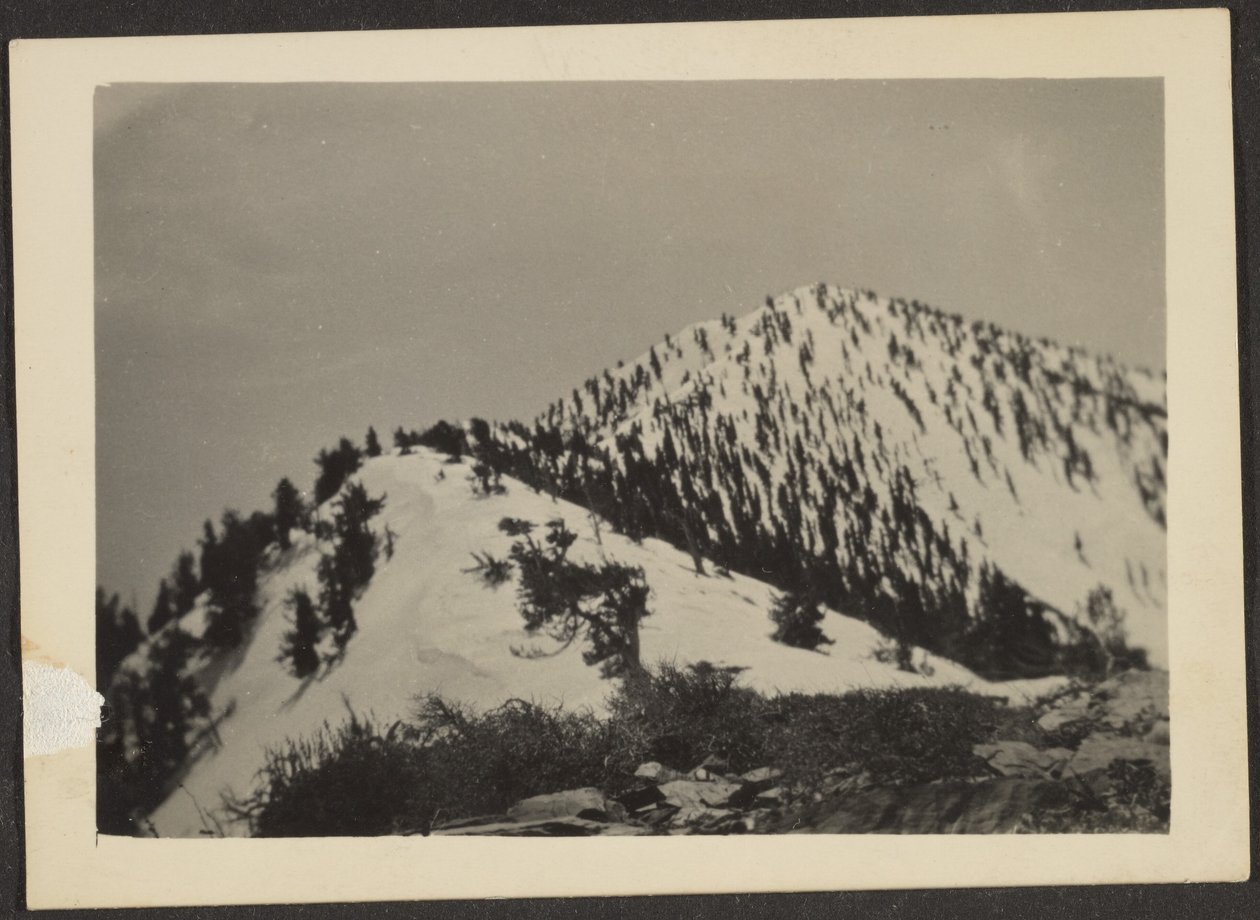 [Telescope Peak] od Louis Fleckenstein