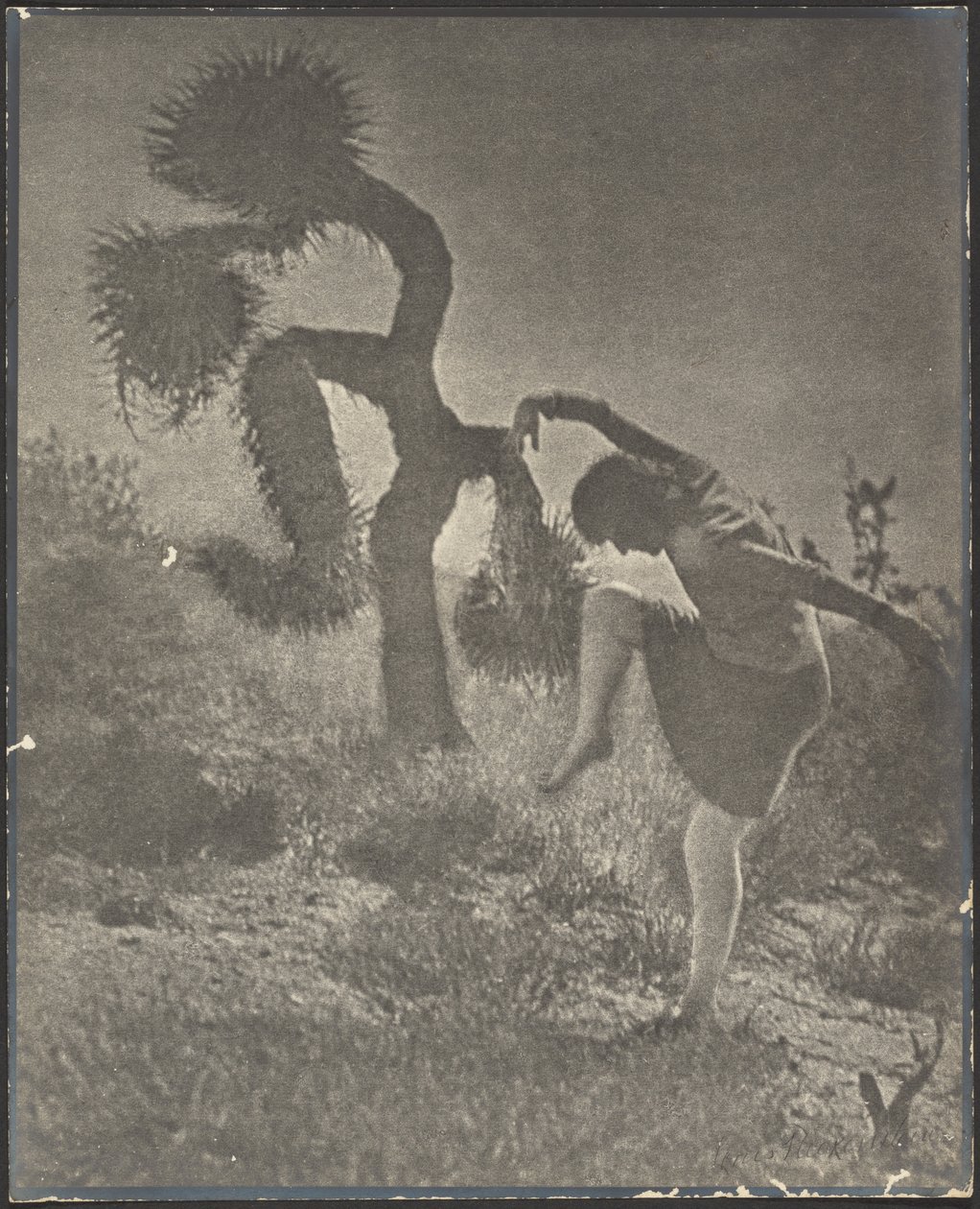 Joshua, ten šašek od Louis Fleckenstein