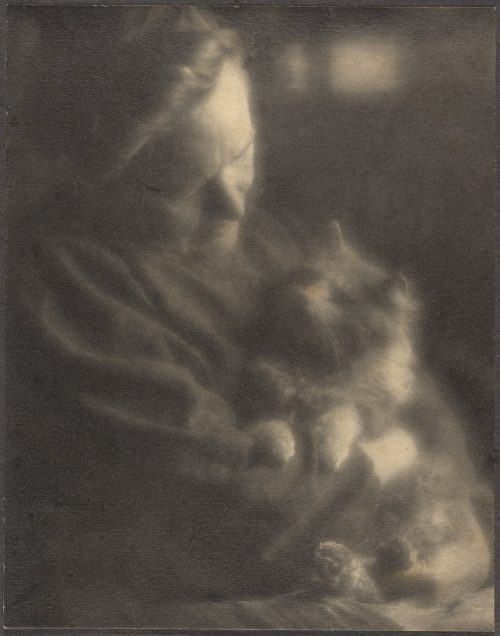 Domácí angora od Louis Fleckenstein