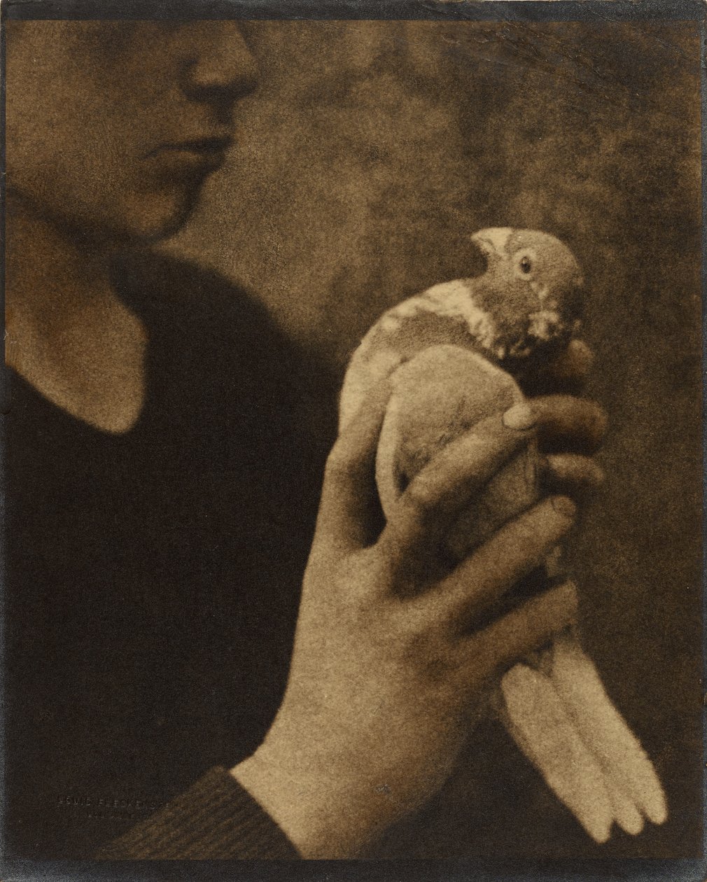 Unavený posel od Louis Fleckenstein