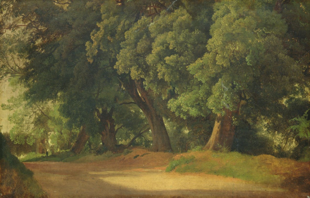 Duby v Holštýnsku (olej na papíře na dřevě) od Louis Gurlitt