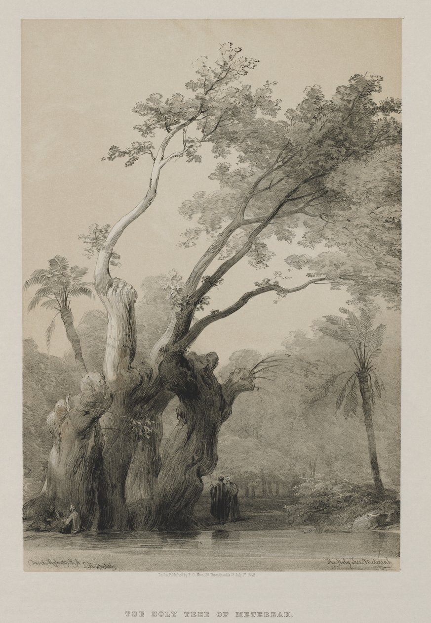 Egypt a Núbie, svazek III: Svatý strom Metereah, 1849. od Louis Haghe