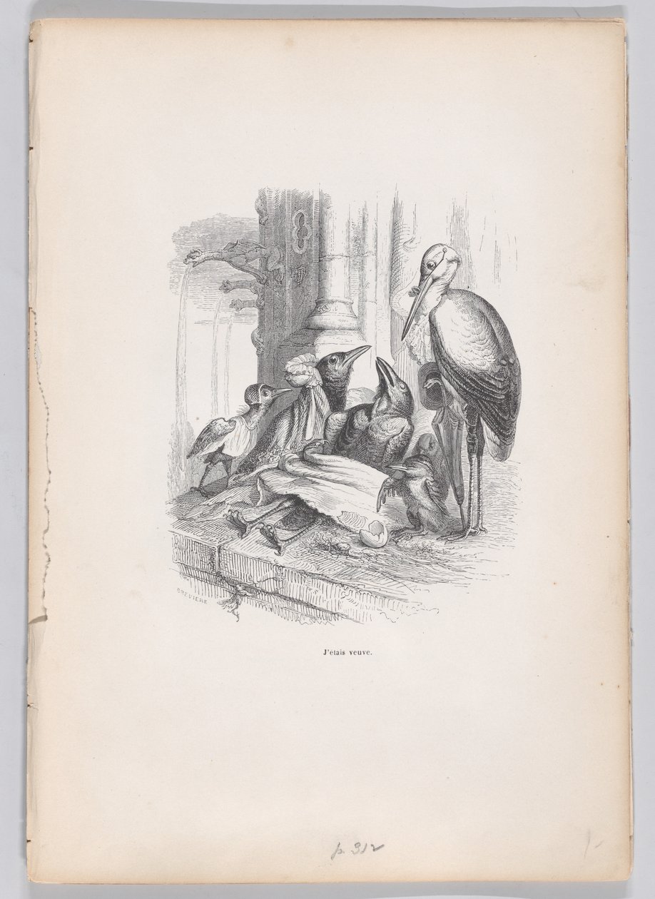Byla jsem vdova ze Scén ze soukromého a veřejného života zvířat, ca. 1837-47. od Louis Henri Brévière