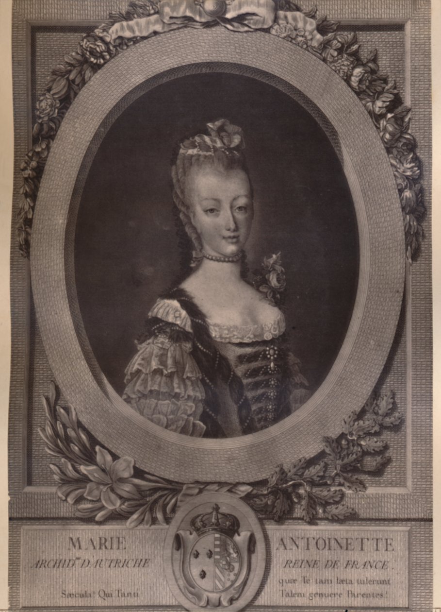 Marie Antoinetta, královna Francie, konec 18. století 1894. od Louis Jacques Cathelin