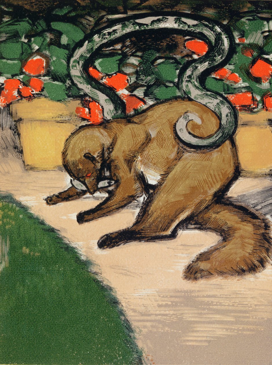 Rikki-Tikki-Tavi, ilustrace z "Knihy džunglí" Rudyarda Kiplinga (1965-1936) vydané v Paříži od Louis Joseph Soulas
