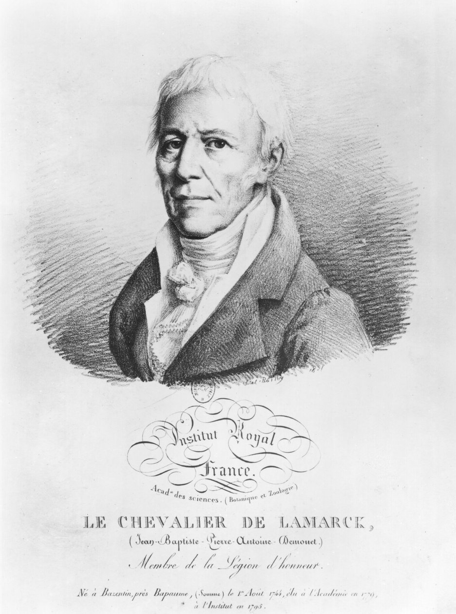 Portrét Jean-Baptiste de Monet (1744-1829) Chevalier de Lamarck, z knihy "Recueil de portraits des academiciens celebres", počátek 19. století od Louis Leopold Boilly