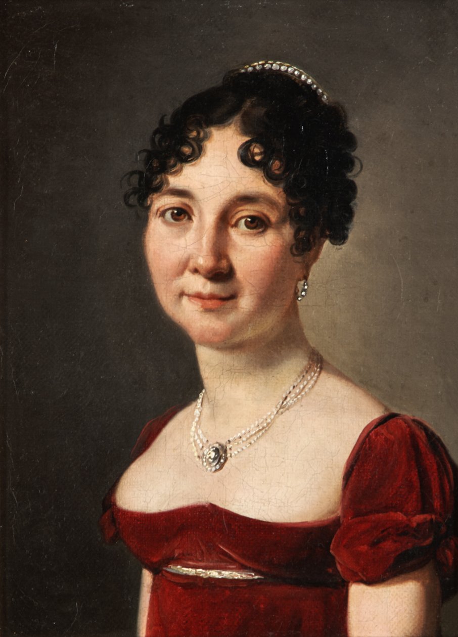 Portrét ženy v červených sametových šatech od Louis Leopold Boilly