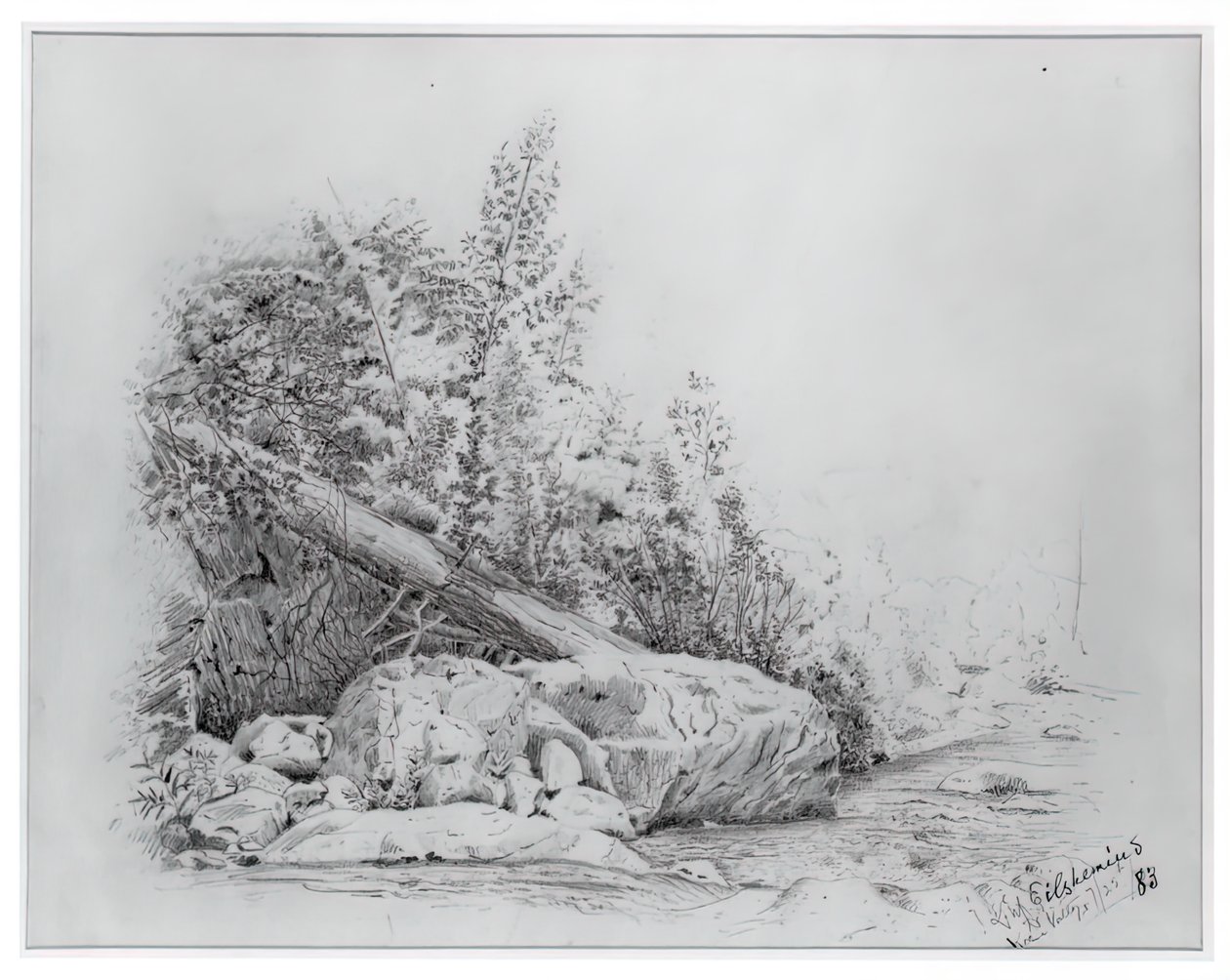 Fallen Tree, Keene Valley, 25. července 1883. od Louis Michel Eilshemius