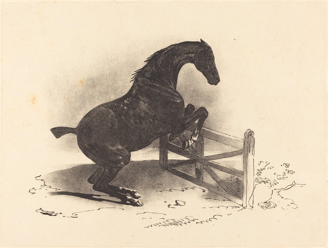 Kůň skáče přes bariéru od Louis Pierre Marie Courtin after Théodore Gericault