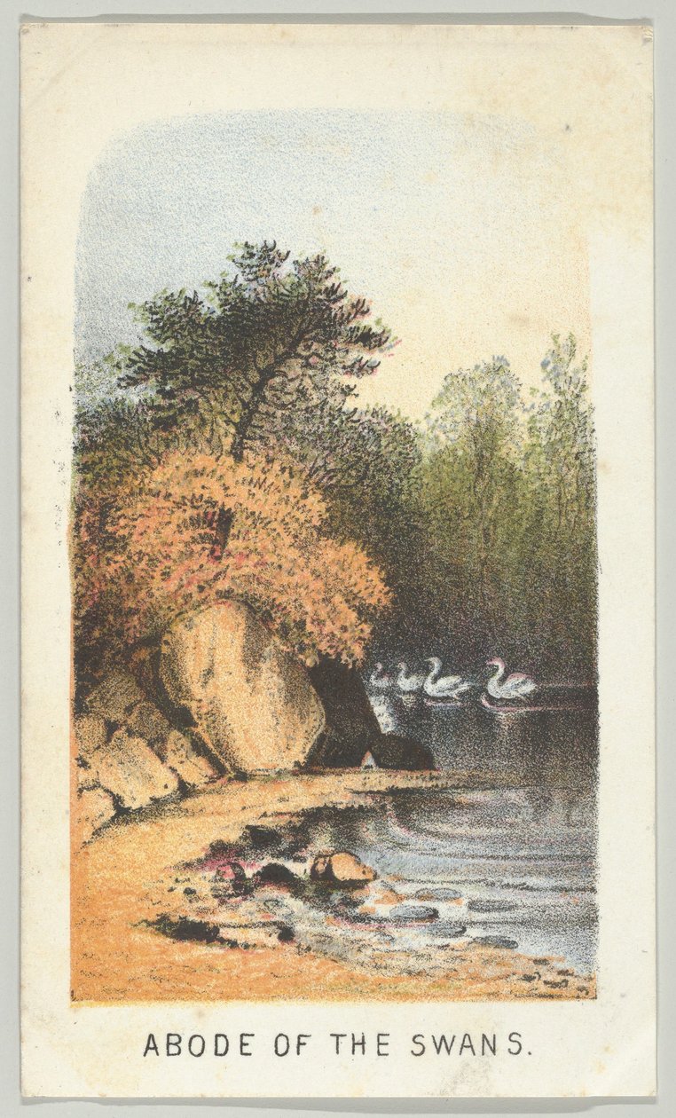 Příbytek labutí, ze série, Pohledy v Central Parku, New York, část 2, 1864. od Louis Prang