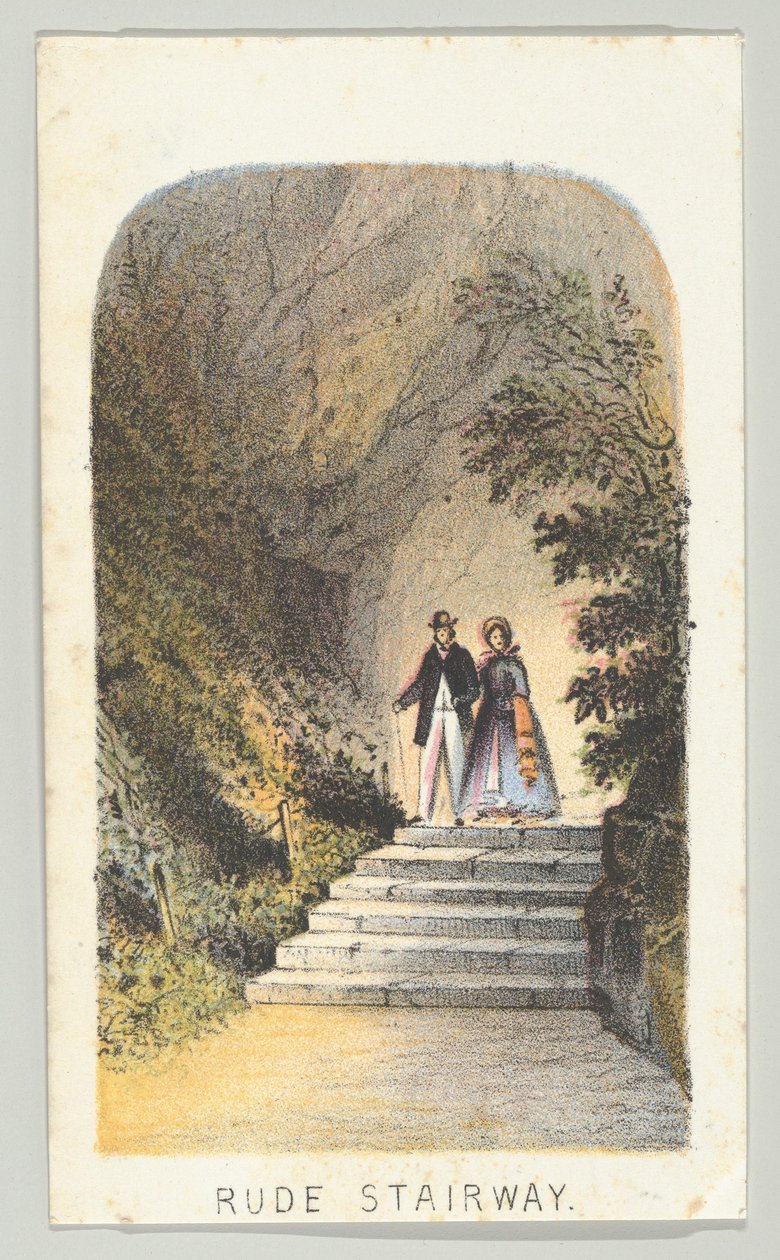 Rude Stairway, ze série, Pohledy v Central Parku, New York, část 2, 1864. od Louis Prang