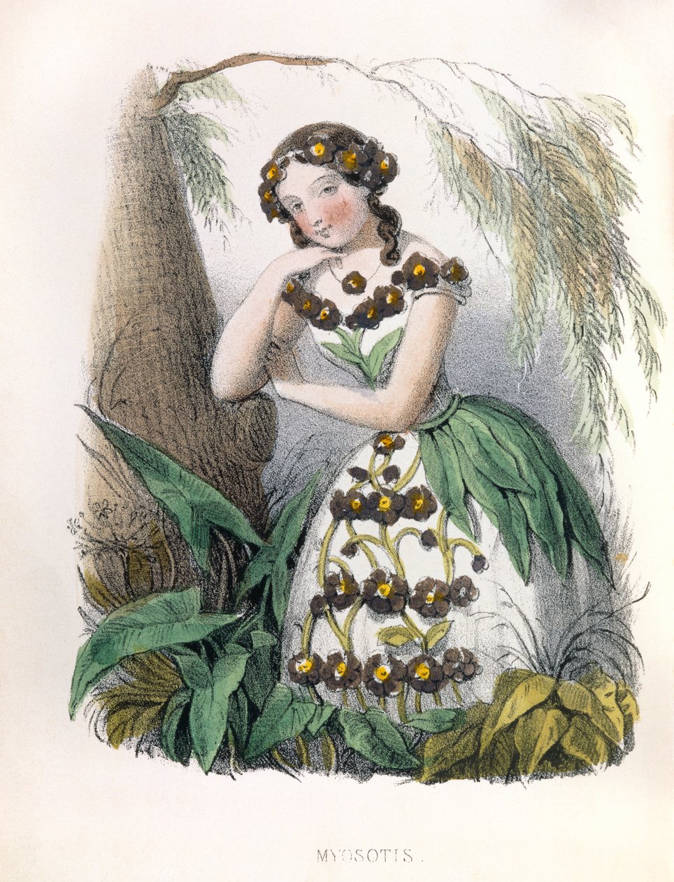  od Louis Simon (1810-1870) Lassalle