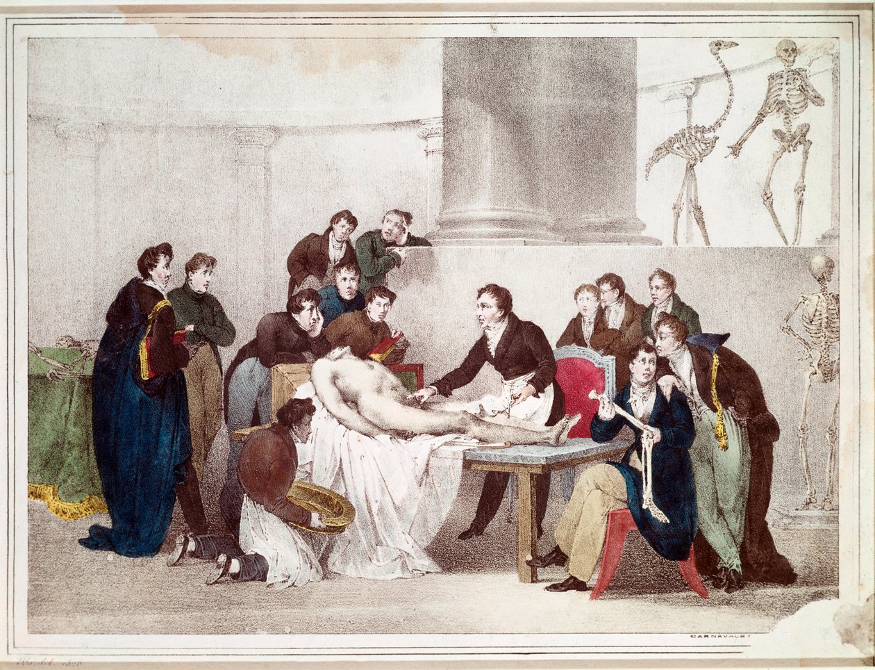 Lekce anatomie (litografie od Louis Thomas Bardel
