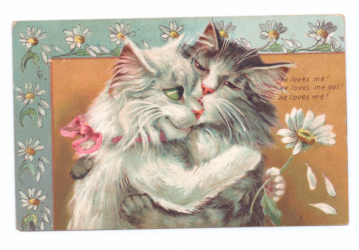 Edwardiánská pohlednice dvou koček, které se objímají, kolem roku 1910 od Louis Wain