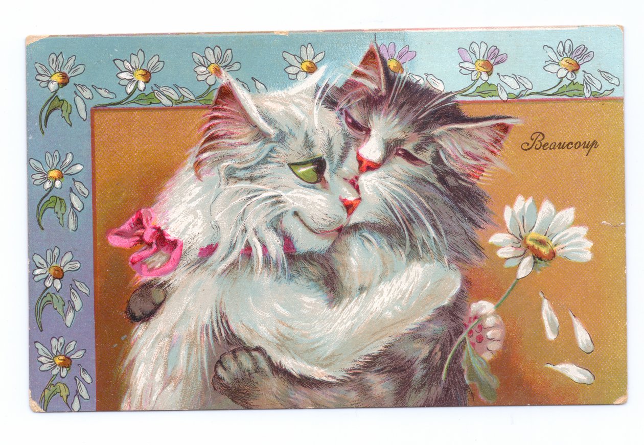 Edwardiánská pohlednice dvou koček, které se objímají, kolem roku 1910 od Louis Wain