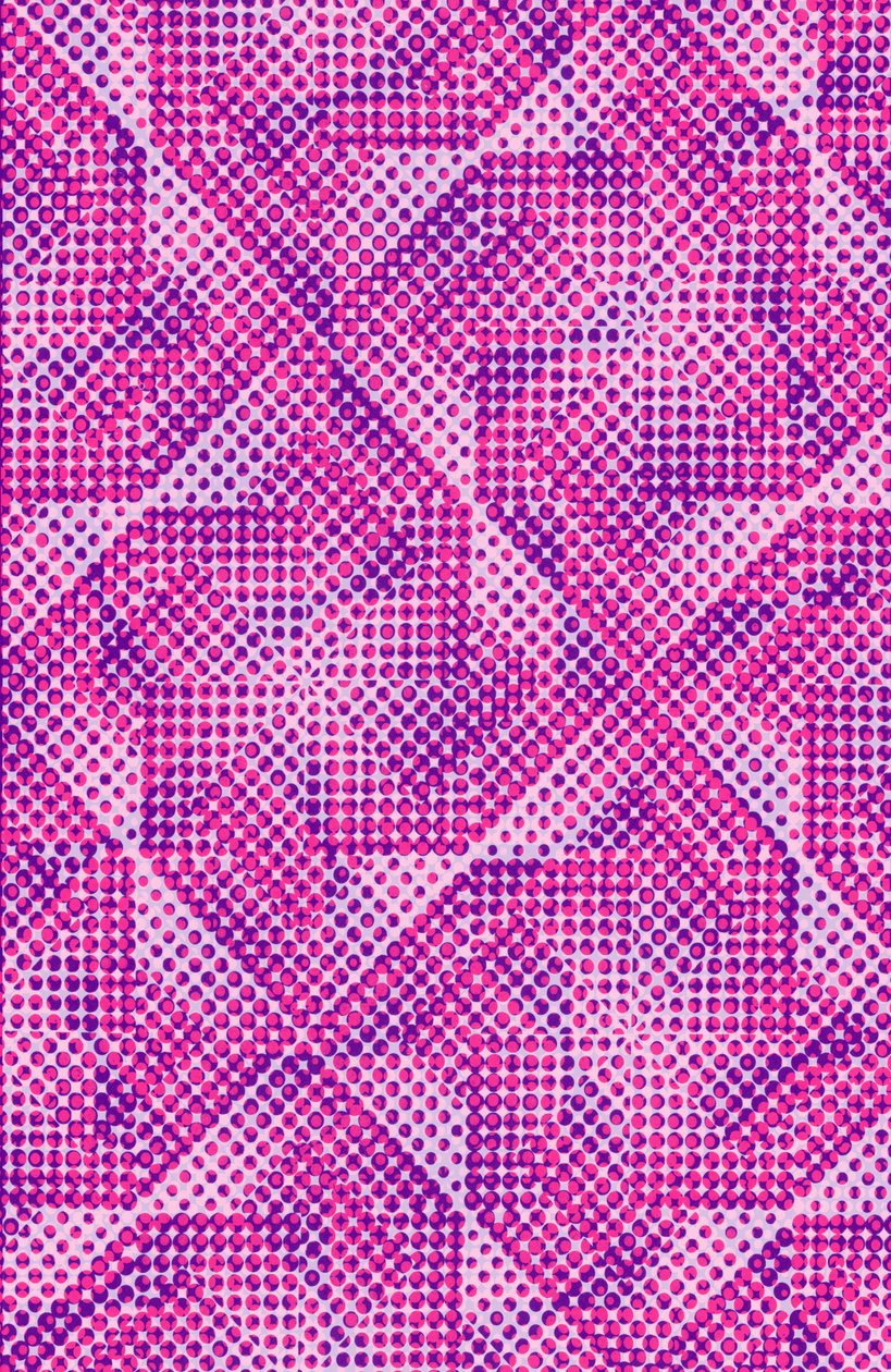 Dotty (digitální) od Louisa Hereford