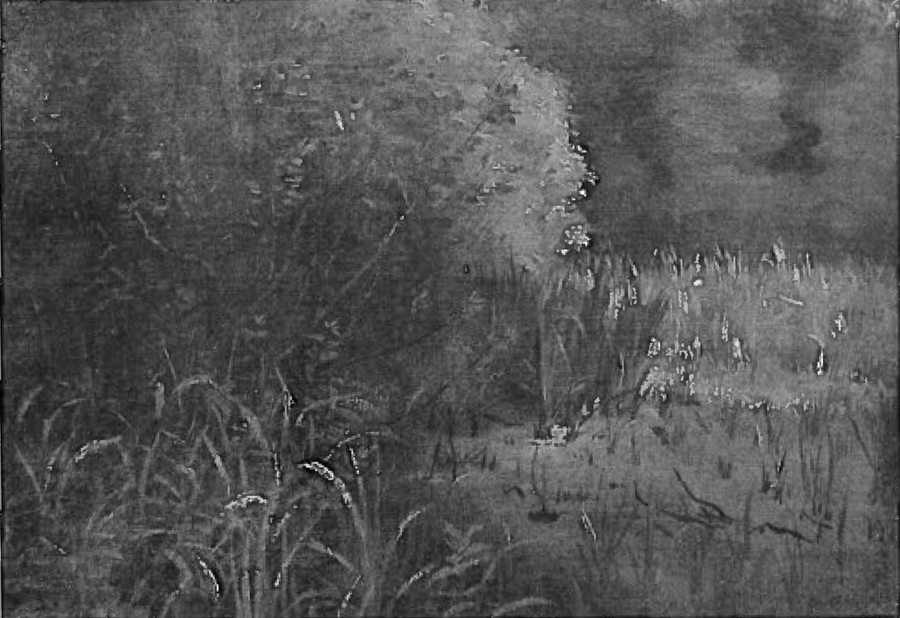 V rákosí od Lovis Corinth