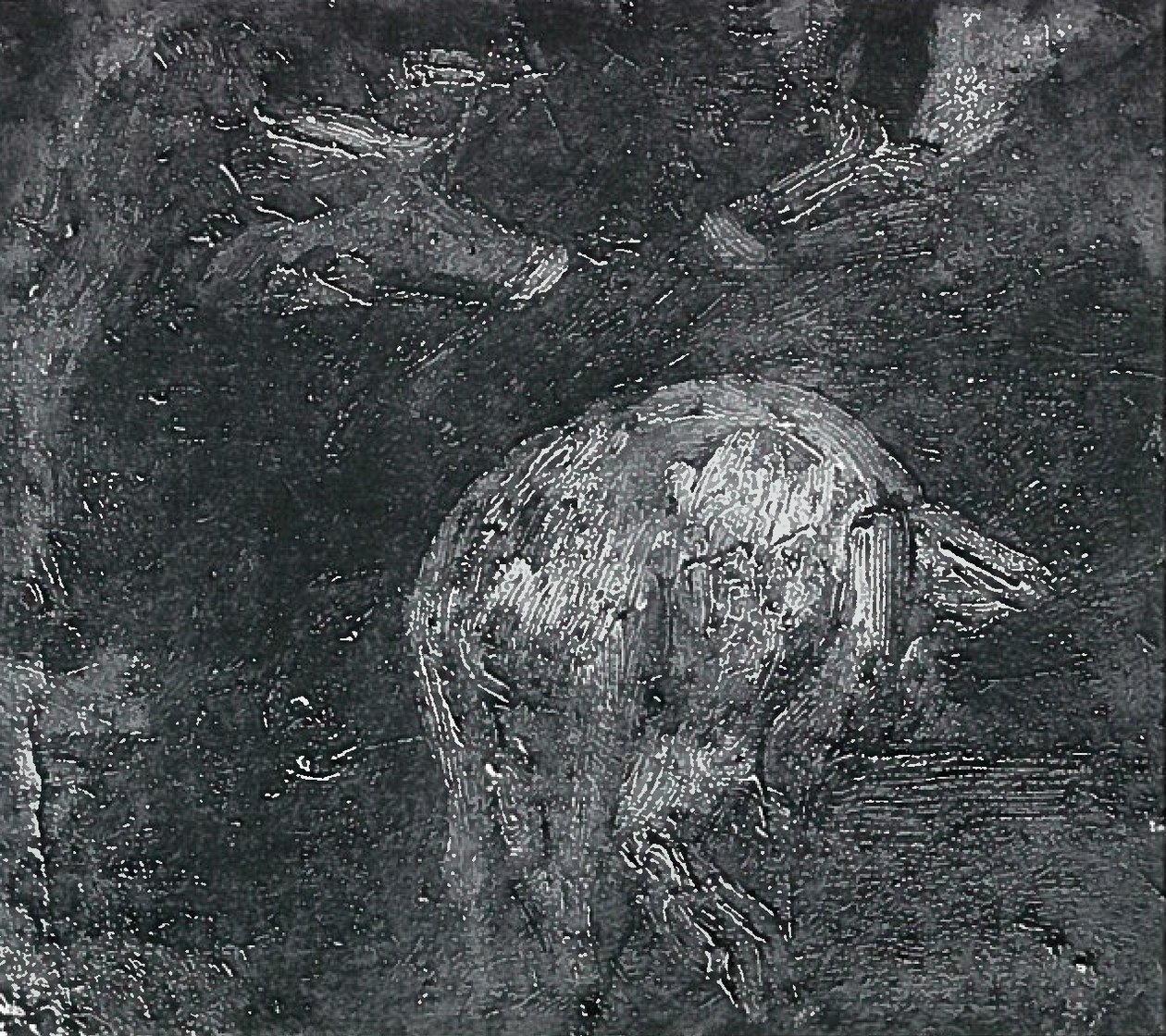 Studie prasat od Lovis Corinth