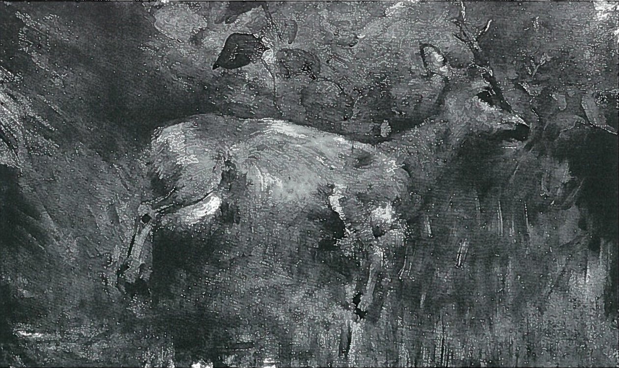 Mrtvý srnec od Lovis Corinth