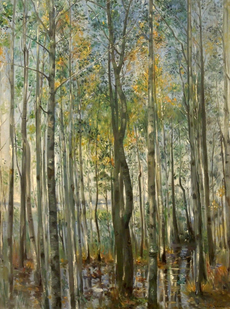 Les. Povodně na jezeře Starnberg od Lovis Corinth