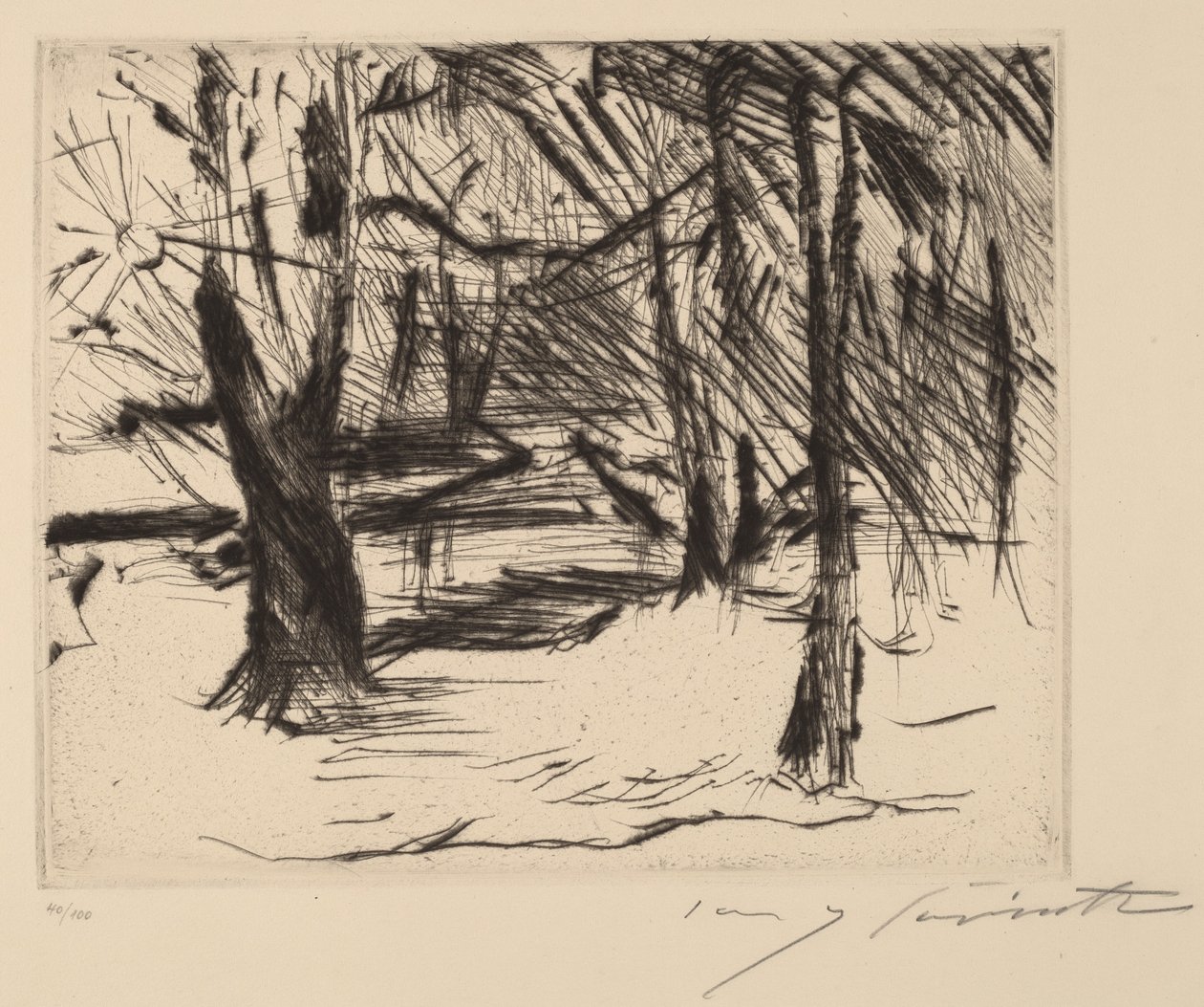 Stromy na slunci od Lovis Corinth
