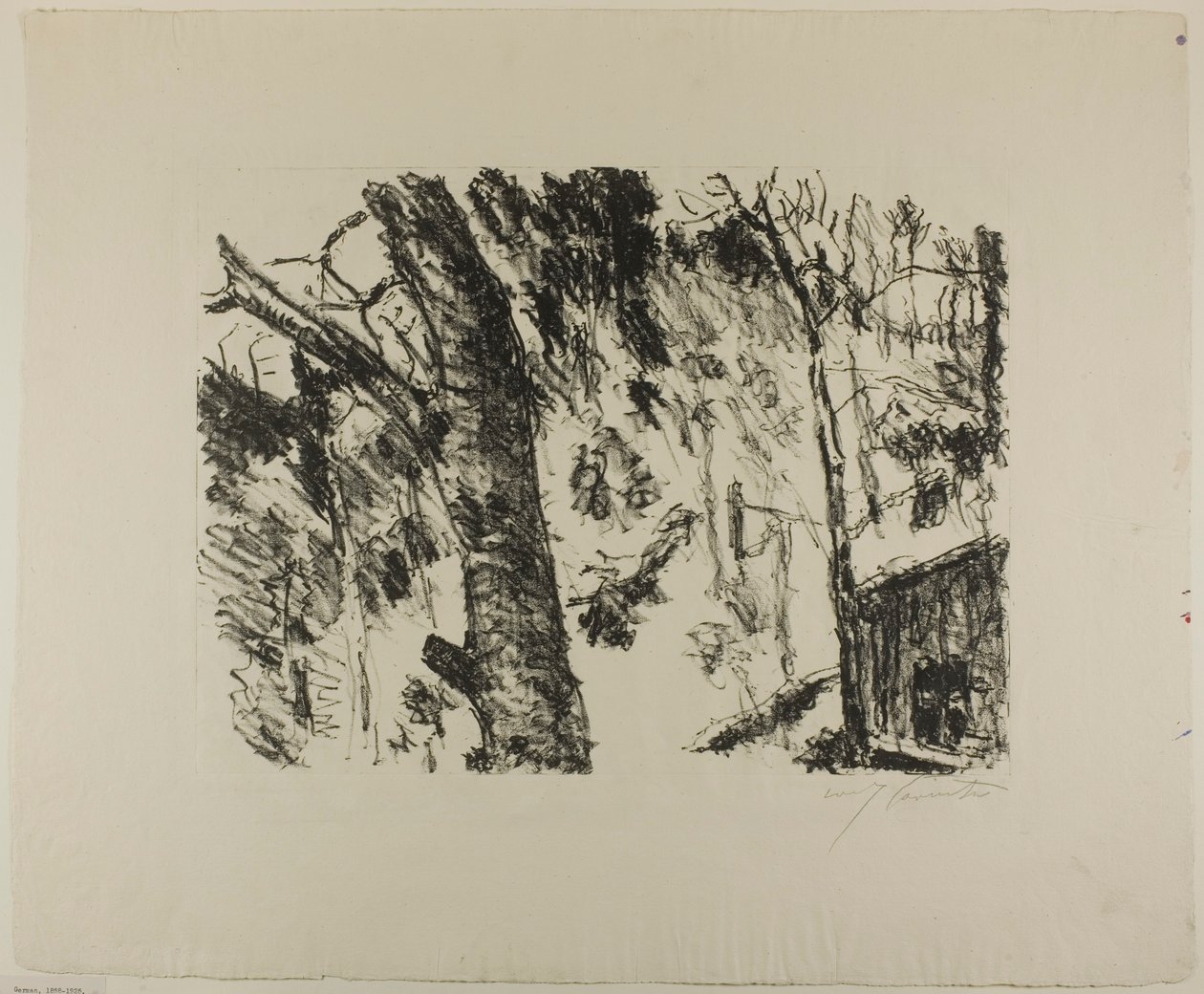 Bukové lesy, z předjaří v horách od Lovis Corinth