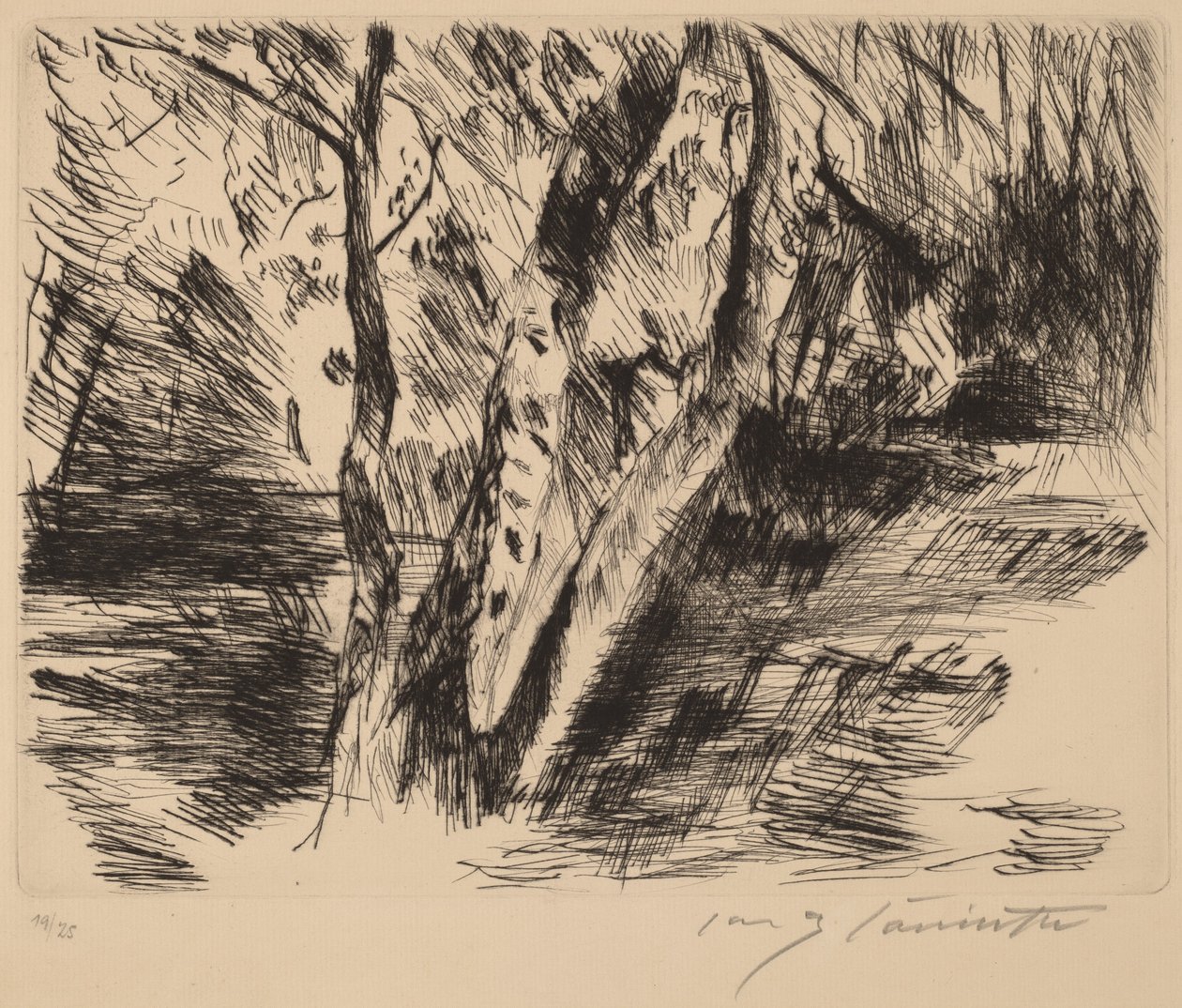 Břízy v Tiergarten, 1920-1921. od Lovis Corinth