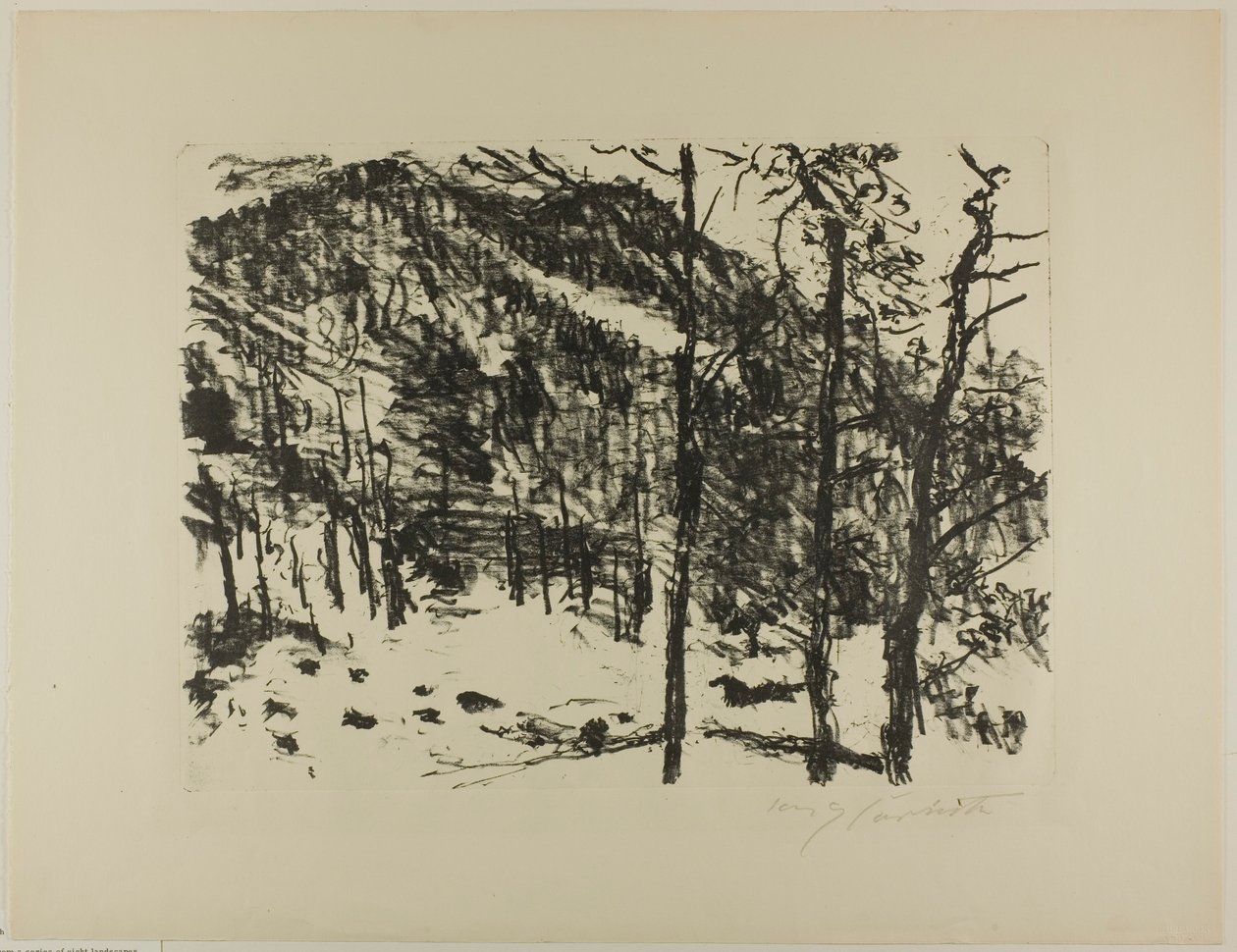 Údolí, od časného jara v horách od Lovis Corinth