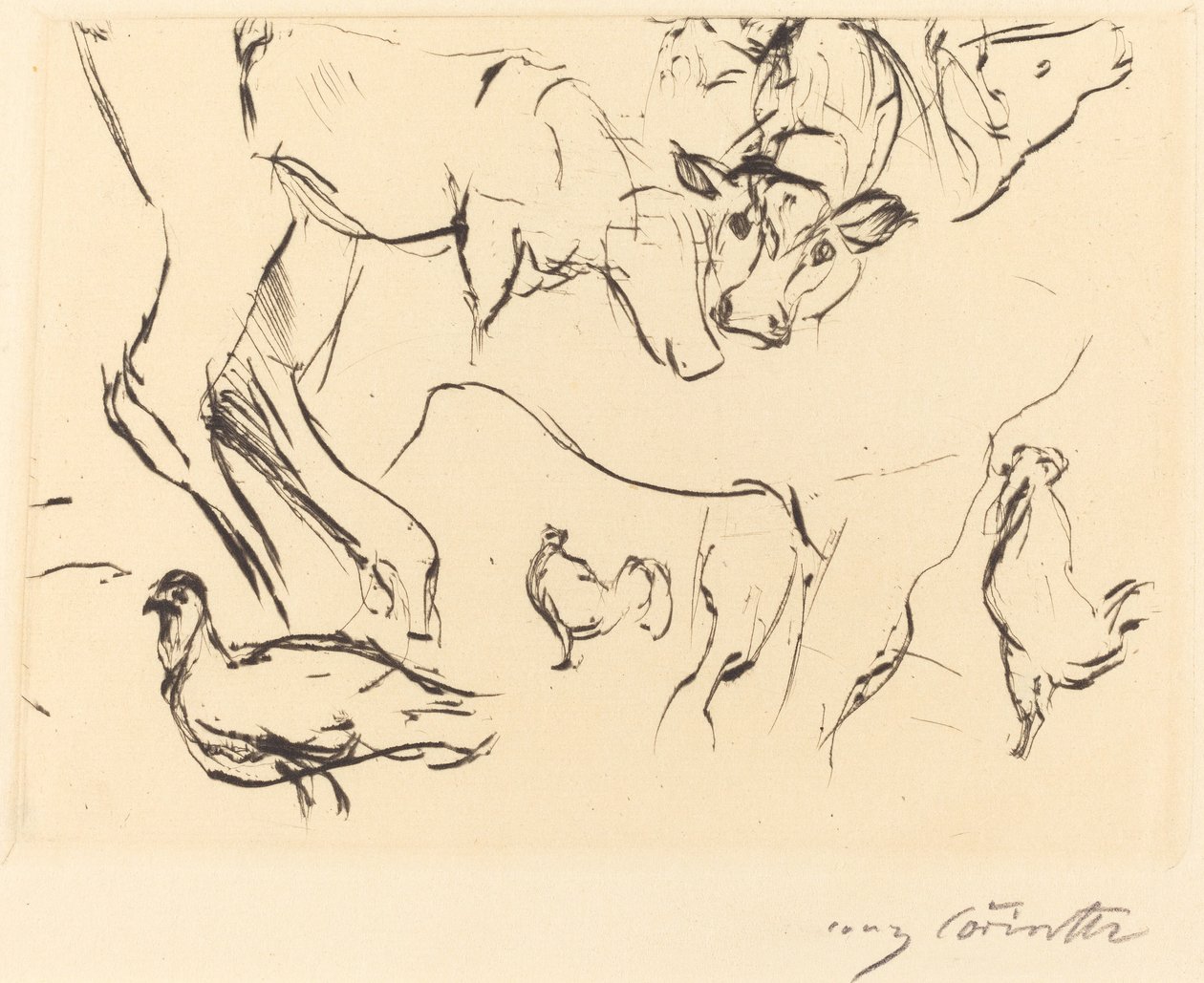Různé studie na zvířatech Studie na zvířatech, 1917. od Lovis Corinth
