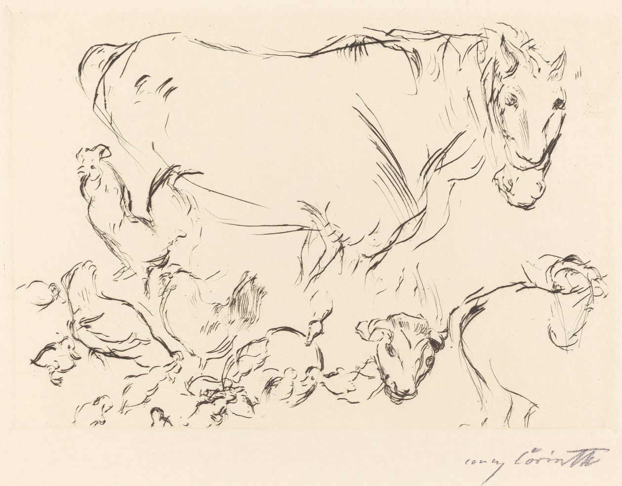 Různé studie na zvířatech Studie na zvířatech, 1917. od Lovis Corinth