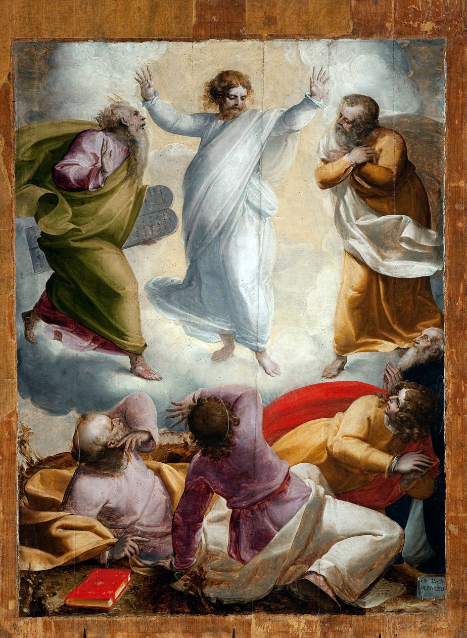 Proměna (malba od Luca Cambiaso