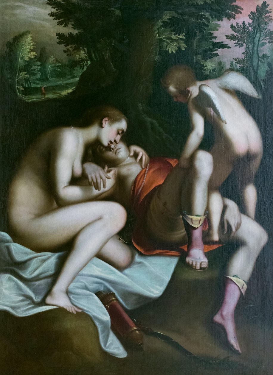 Smrt Adonise, před rokem 1585, Luca Cambiaso (olej na plátně) od Luca Cambiaso