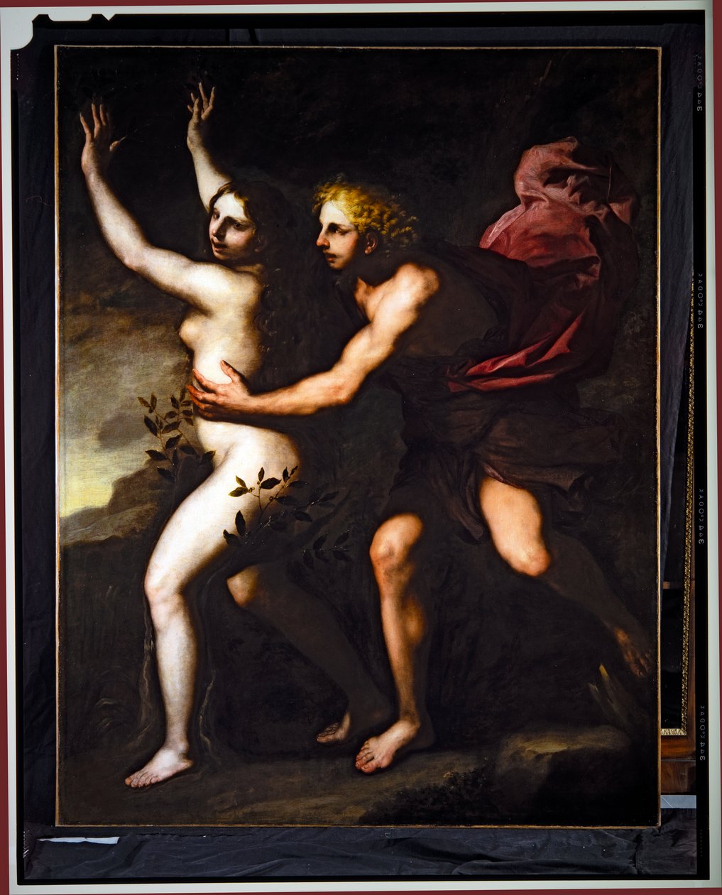 Apollón a Dafné (olej na plátně) od Luca Giordano